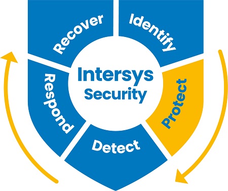 Intersys cyber security principles in a shield graphic